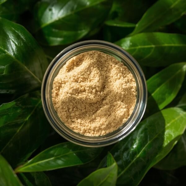 Guar Gum Powder